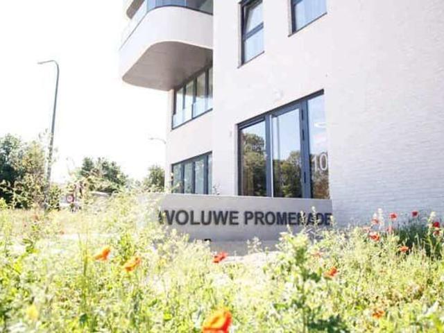 2 bedroom furnished apartment for rent