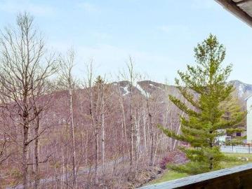 2 bedroom, Killington VT 05751 103436543
