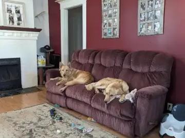 Strathcona, Edmonton, Edmonton, Alberta