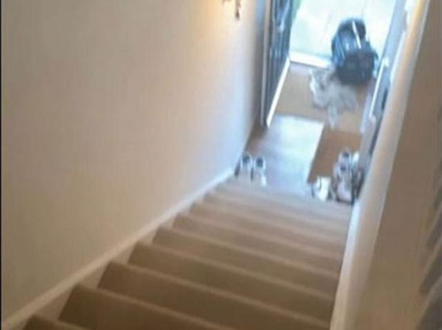 2 bedroom house in Sheffield