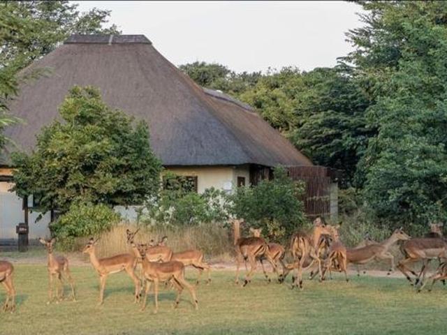 2 Bedroom House in Phalaborwa