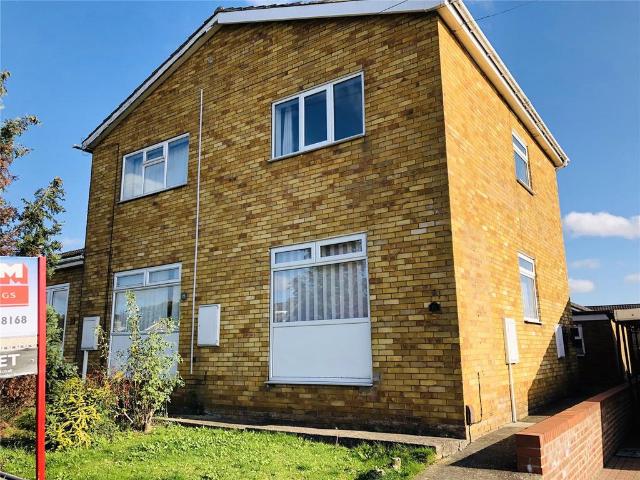2 bedroom house to rent