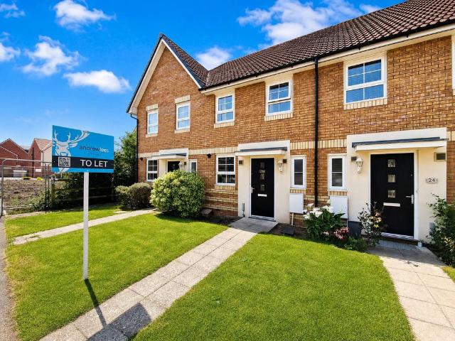 2 bedroom house to rent