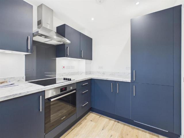 2 bedroom house to rent