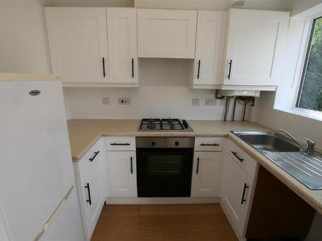 2 bedroom house to rent