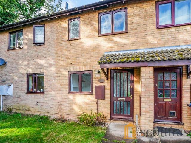 2 bedroom house to rent