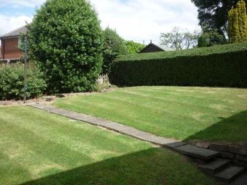 2 bedroom house to rent