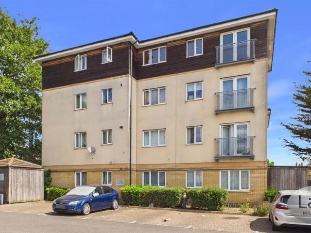 2 bedroom house to rent