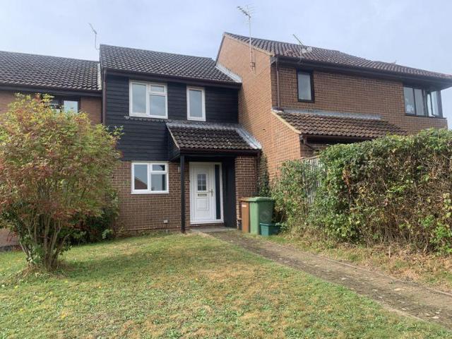 2 bedroom house to rent