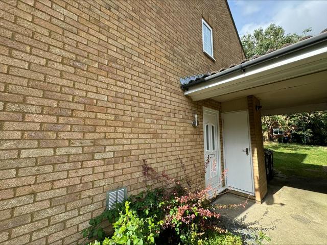 2 bedroom house to rent