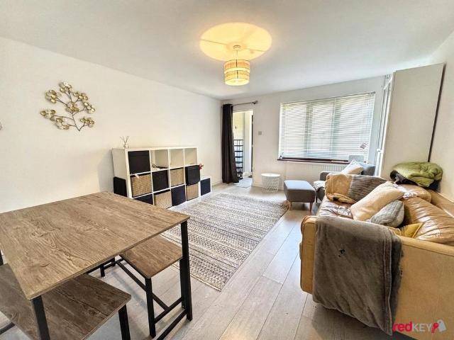 2 bedroom house to rent