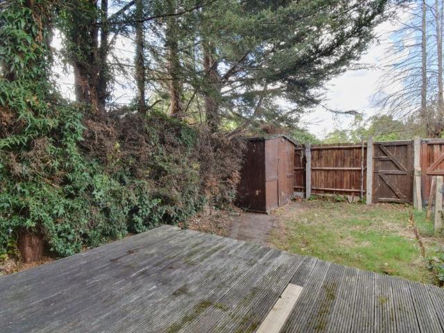 2 bedroom house to rent