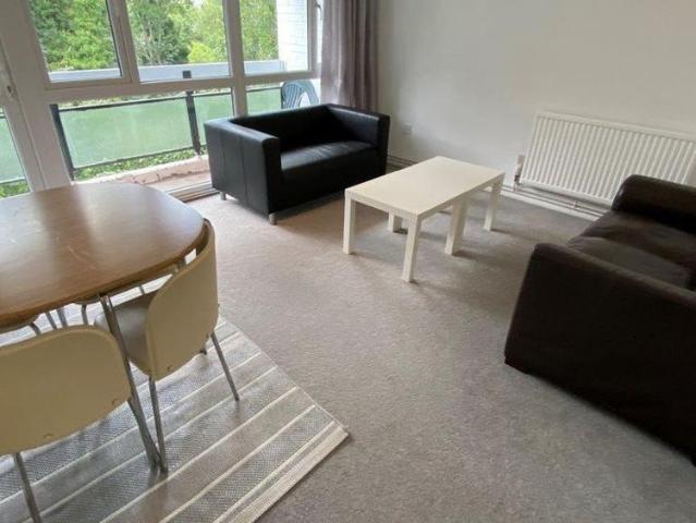 2 bedroom house to rent