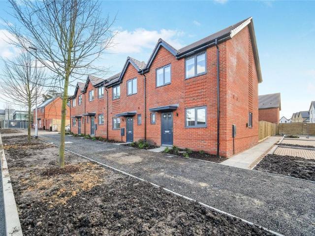 2 bedroom house to rent