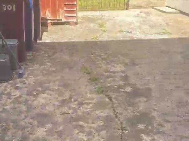 2 bedroom house to rent