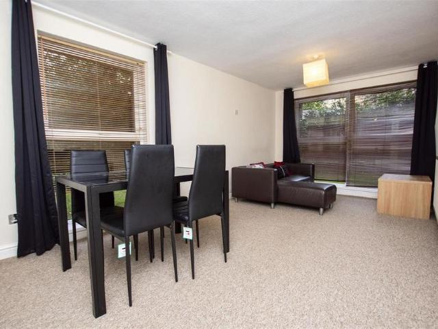 2 bedroom house to rent