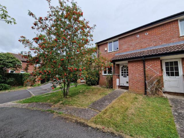 2 bedroom house to rent