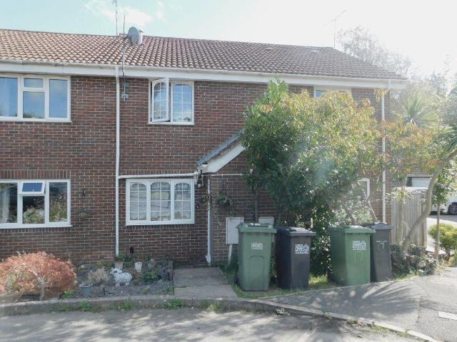 2 bedroom house to rent