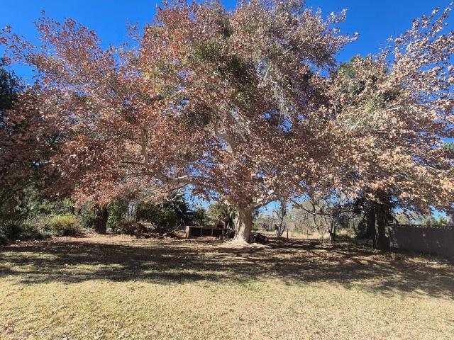 2 Bedroom house to rent in Louisvale, Upington