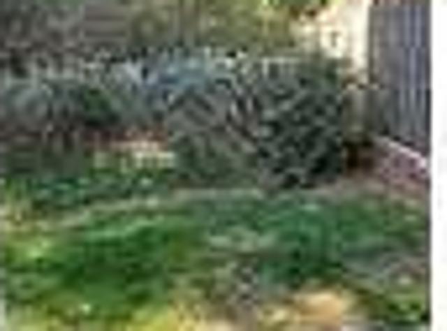 2 Bedroom Homes For Rent Charlotte NC