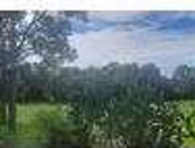 2 Bedroom Homes For Rent Springhill Florida