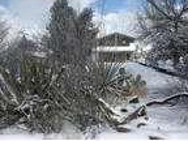 2 bedroom in Alpine Texas 79830