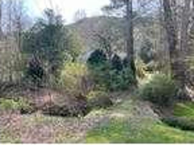 2 bedroom in Robbinsville NC 28771