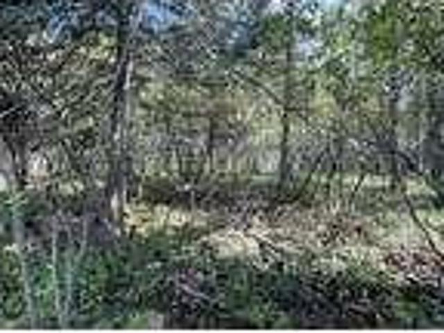 2 bedroom in Two Harbors Minnesota 55616
