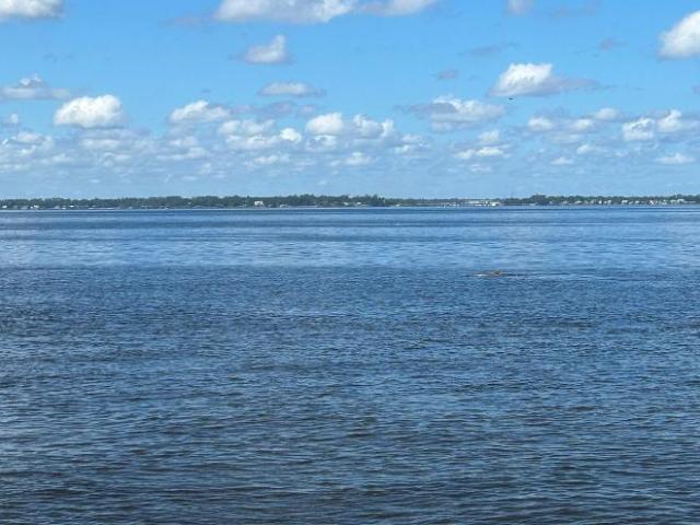 2 bedroom, Jacksonville FL 32207 106220355