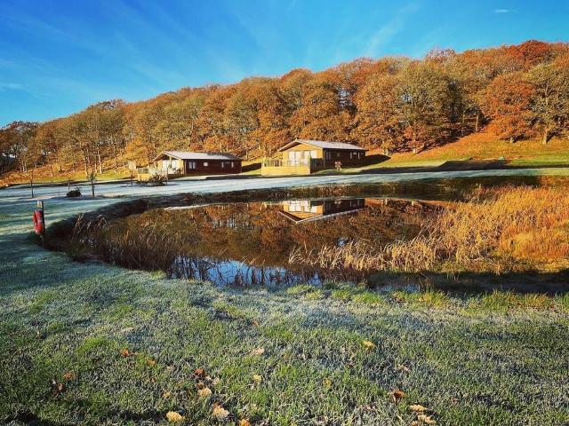 2 bedroom lodge for sale