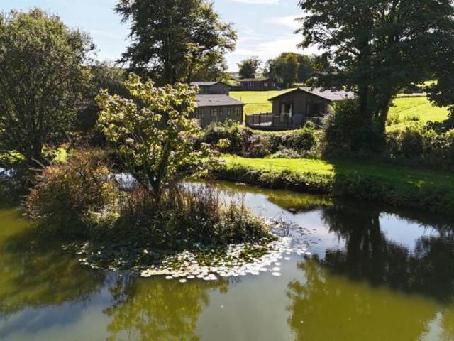 2 bedroom lodge for sale