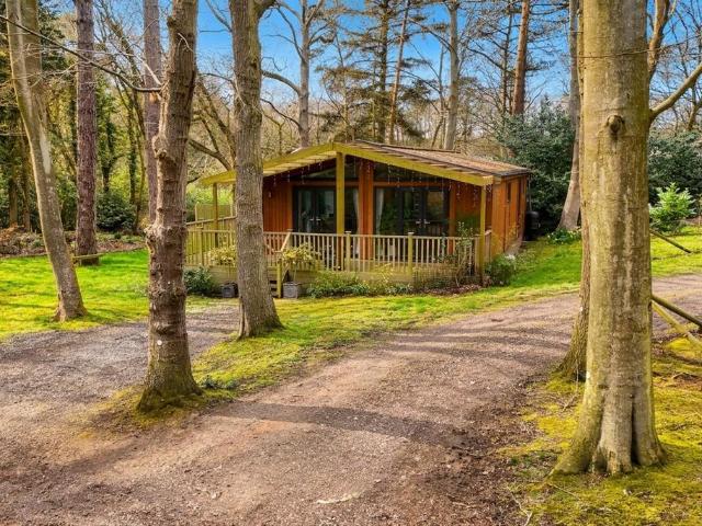 2 bedroom lodge for sale