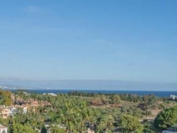 2 bedroom luxury Apartment for rent in Nueva Andalucia, Andalusia