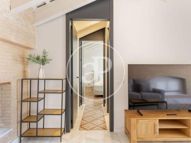 2 bedroom luxury penthouse for rent in Valencia