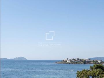 Vigo, Pontevedra, Pontevedra, Galicia, Galicia