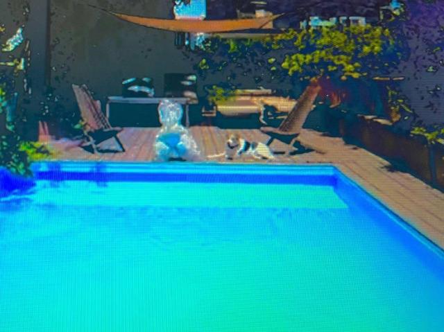 2 bedroom luxury penthouse for rent in Palma de Mallorca, Balearic Islands