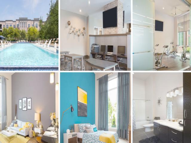 2 bedroom, Montrose & Museum District TX 77007 77109885