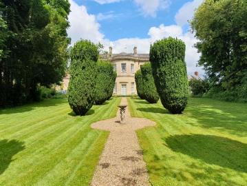 Abberd Calne, SN11, Chippenham, Wiltshire county, Southdowns