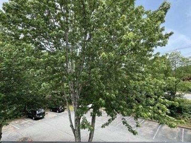 2 bedroom, New Bedford MA 02745 105428322