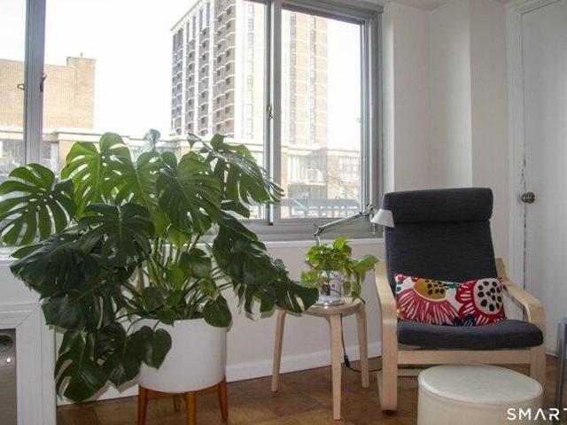 2 bedroom, New Haven CT 06511 105558216