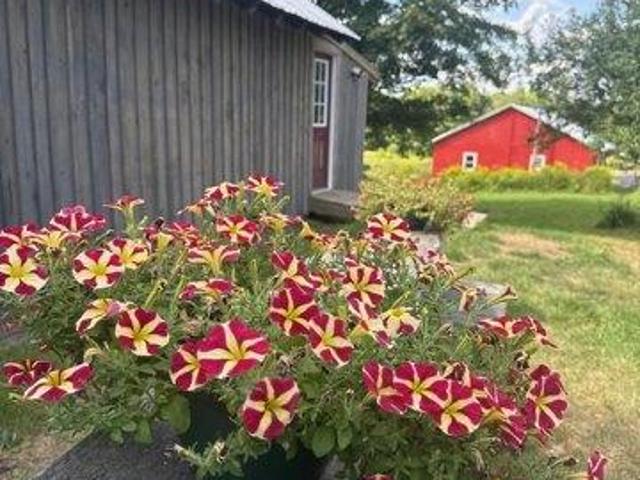 2 bedroom, Newbury VT 05051 105630100