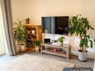 2 bedroom semi detached house to rent