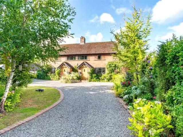 2 bedroom semi detached house for rent in Gussage All Saints.
