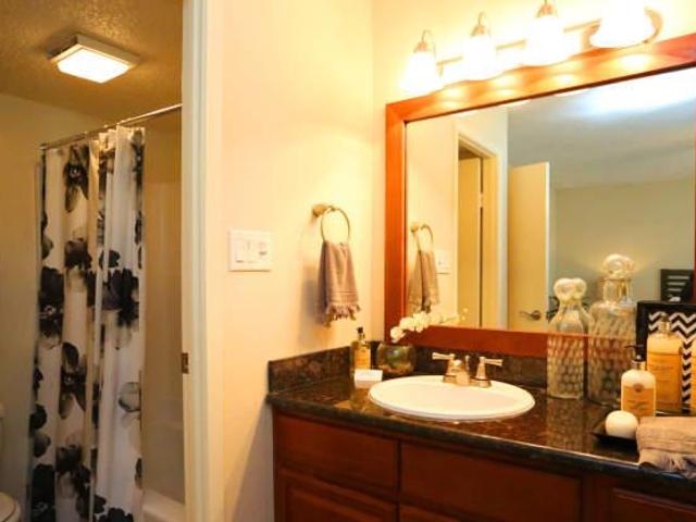 2 bedroom, Stafford TX 77477 105858449