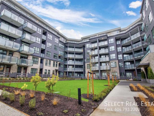 2 bedroom, Surrey BC V4N 6W6 104196359