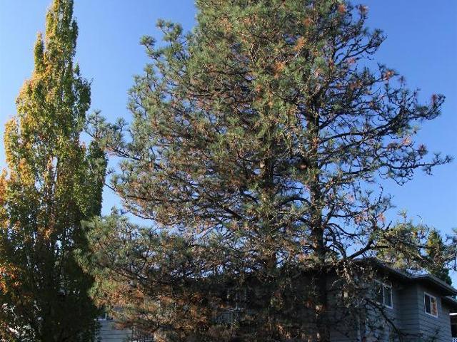 2 bedroom, Portland OR 97229 106165032