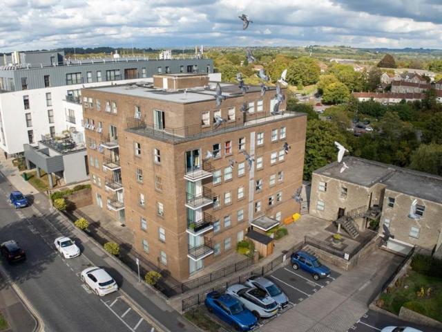 2 bedroom penthouse for sale
