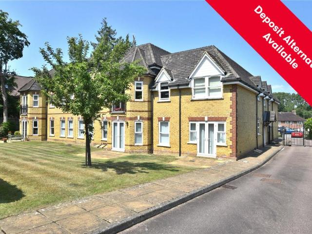2 bedroom penthouse to rent