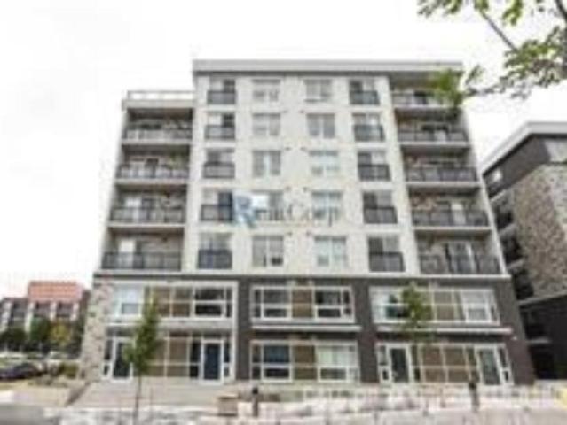 2 bedroom, Waterloo ON N2L 0J1 105263896