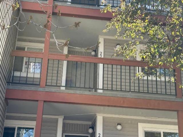 2 bedroom, Westminster CO 80031 104970522